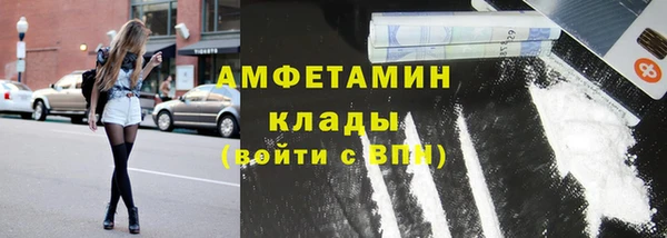 гашик Горняк