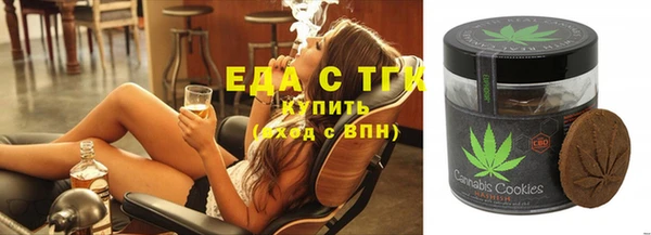 гашик Горняк