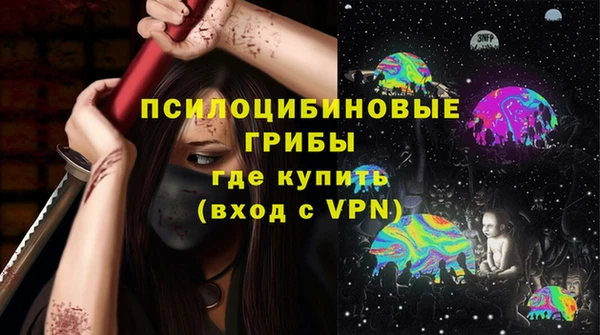 гашик Горняк
