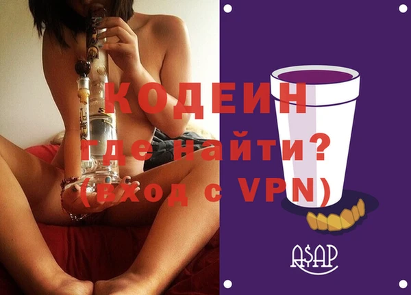гашик Горняк
